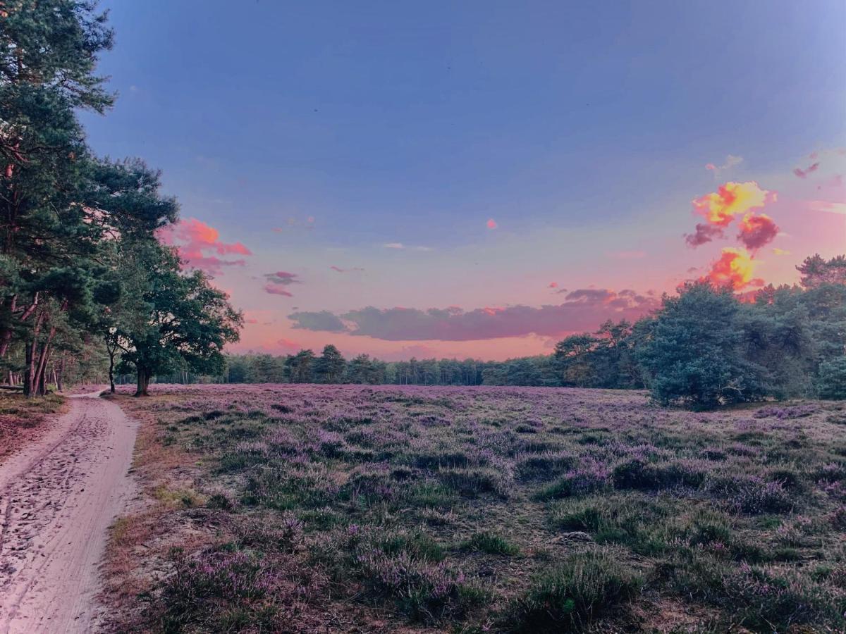 Rode Bosuil: Thuiskomen Op De Veluwe! Otterlo Exterior foto