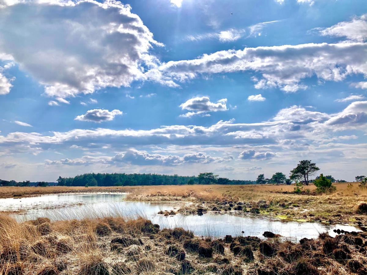 Rode Bosuil: Thuiskomen Op De Veluwe! Otterlo Exterior foto